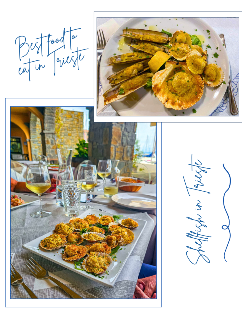Canestrelli gratin, a plate of baked shellfish with breadcrumbs, served at a seaside restaurant, an example of delicious food to eat while in Trieste.